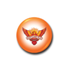 Sunrisers Hyderabad Logo Badge